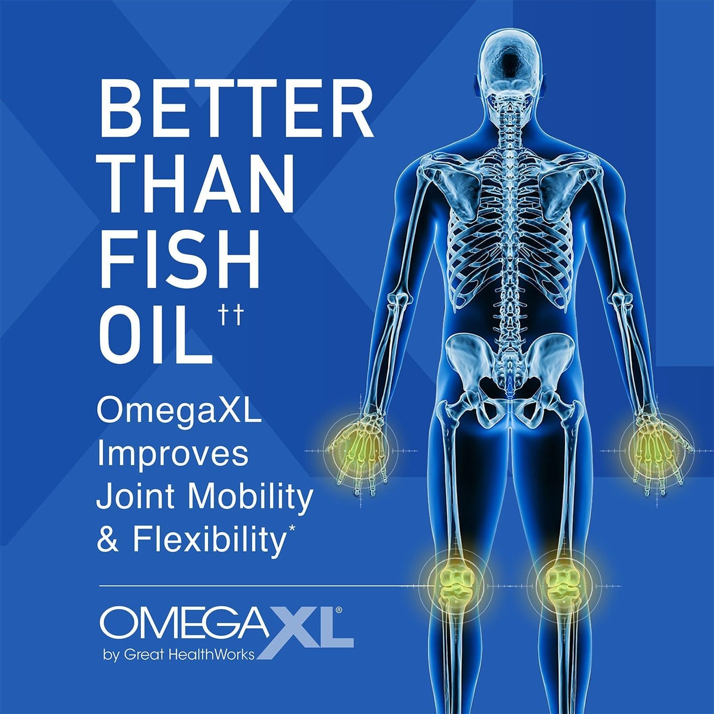 OmegaXL Joint & Muscle Support Supplement 60 Softgels Drug-Free